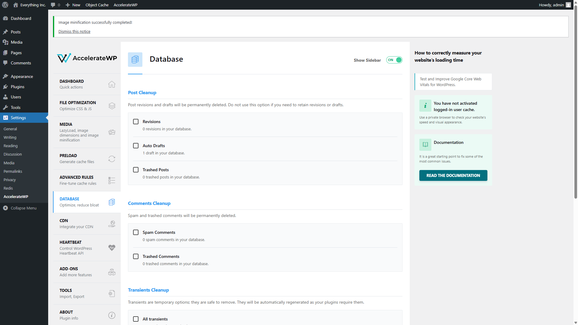AccelerateWP Database page showing various cleanup sections