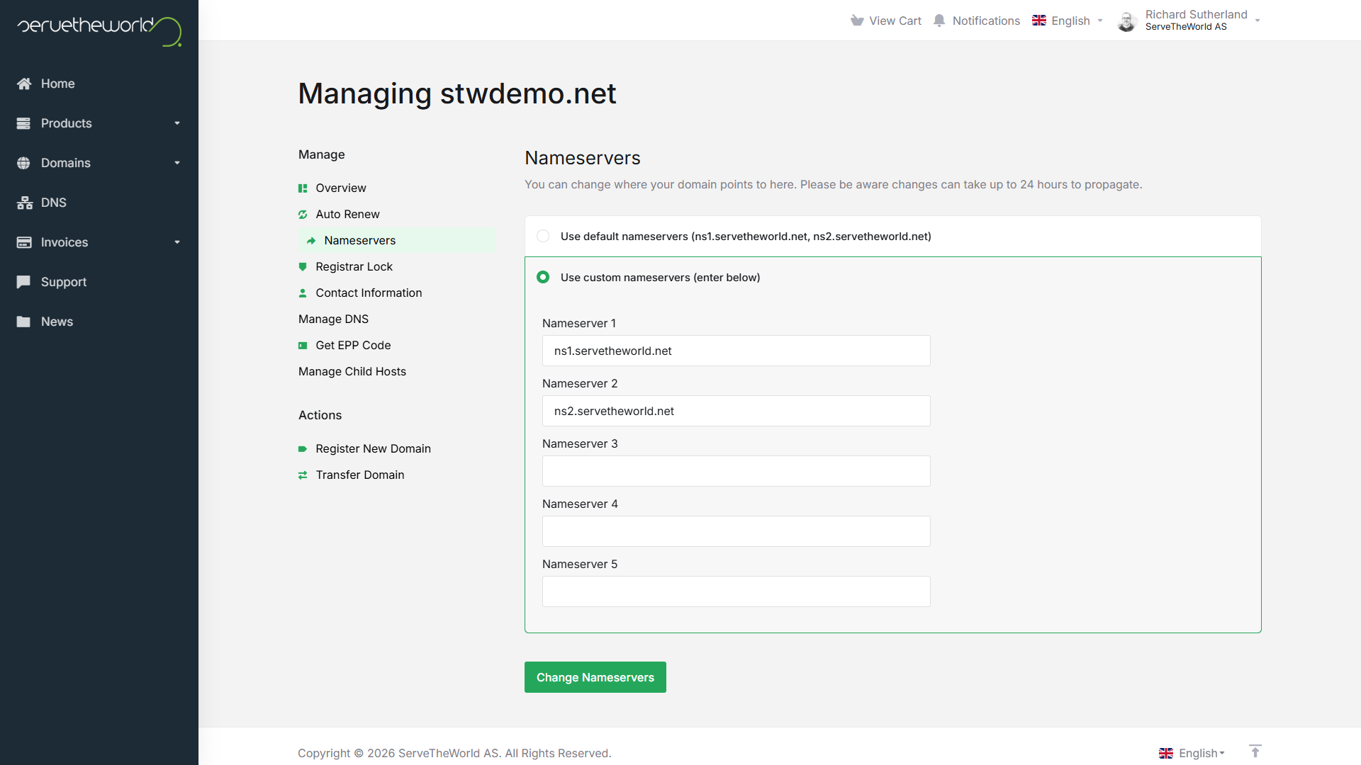 The Nameservers page showing default and custom nameserver options